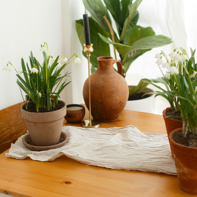 epv-lifestyle-photo2